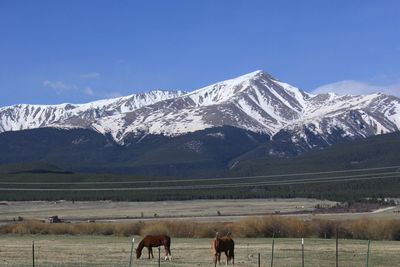 Mount Elbert