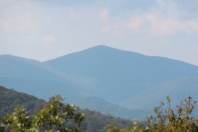 Coosa Bald